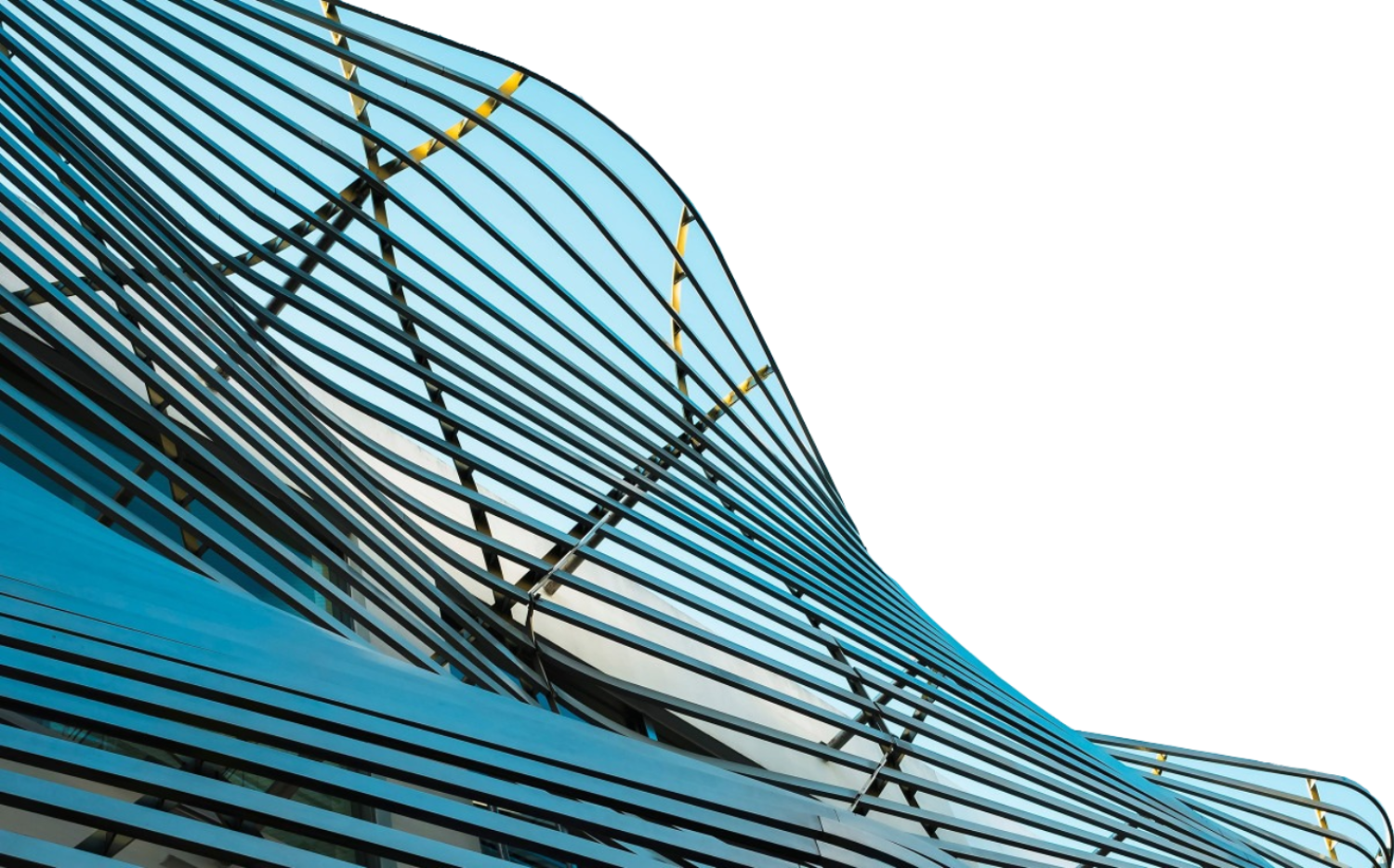 Trees in the forest. 