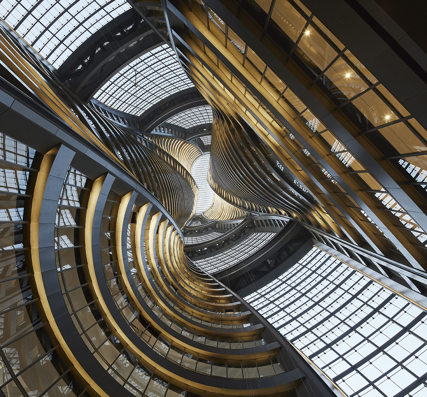 Trees in the forest. 